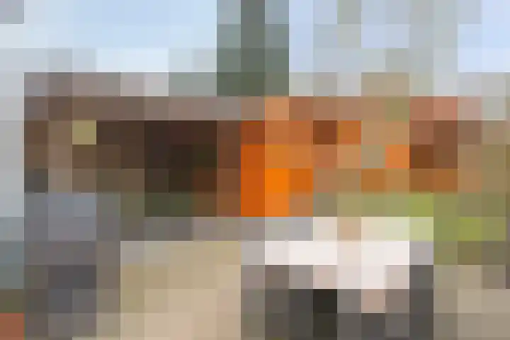 Heyendaalseweg 259 Nijmegen thumbnail 29