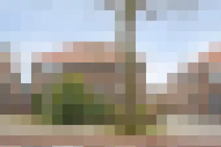 Heyendaalseweg 259 Nijmegen thumbnail 44