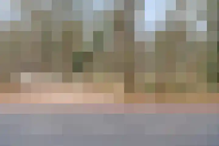 Heyendaalseweg 259 Nijmegen thumbnail 46