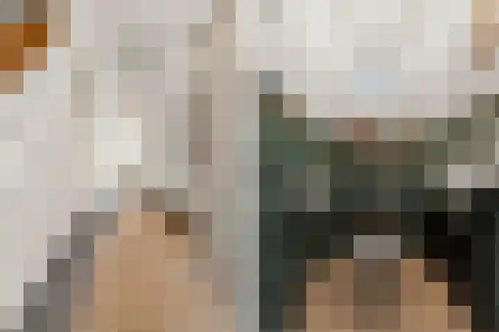Heyendaalseweg 260 Nijmegen thumbnail 18