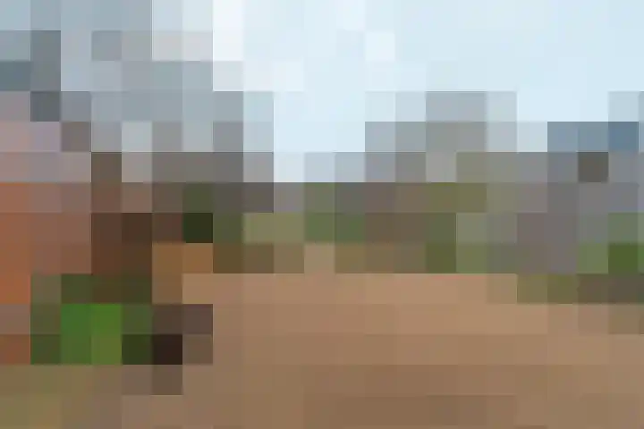 Heyendaalseweg 260 Nijmegen thumbnail 38
