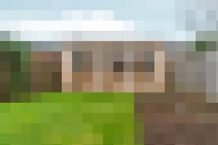 Heyendaalseweg 260 Nijmegen thumbnail 39