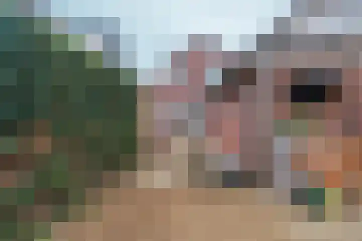 Heyendaalseweg 260 Nijmegen thumbnail 44