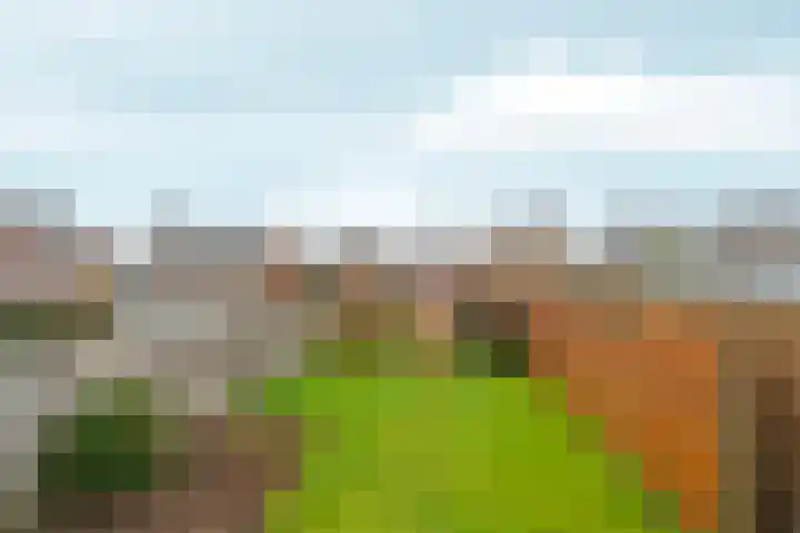 Heyendaalseweg 260 Nijmegen thumbnail 5