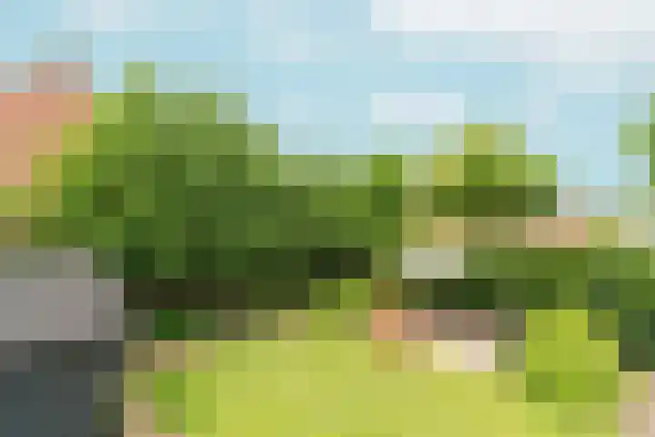 Heyendaalseweg 338 Nijmegen thumbnail 10