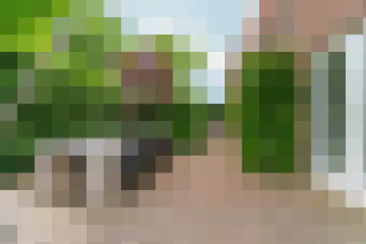 Heyendaalseweg 338 Nijmegen thumbnail 11
