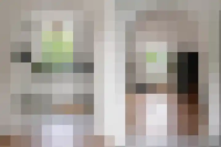Heyendaalseweg 338 Nijmegen thumbnail 19