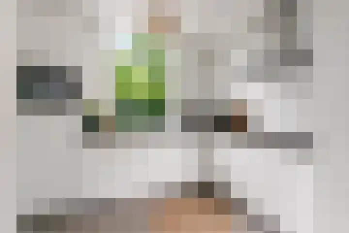 Heyendaalseweg 338 Nijmegen thumbnail 21