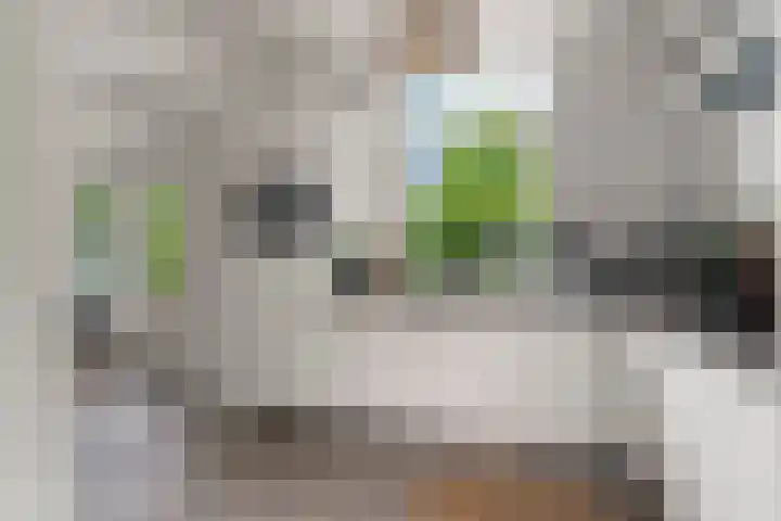 Heyendaalseweg 338 Nijmegen thumbnail 22