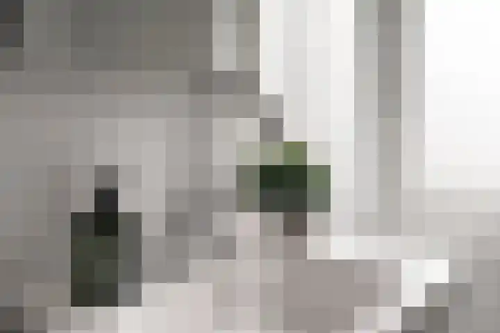 Heyendaalseweg 338 Nijmegen thumbnail 38