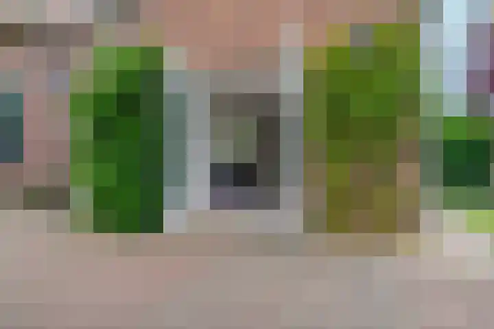 Heyendaalseweg 338 Nijmegen thumbnail 67