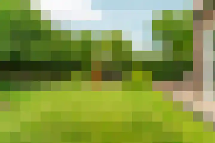 Heyendaalseweg 338 Nijmegen thumbnail 74