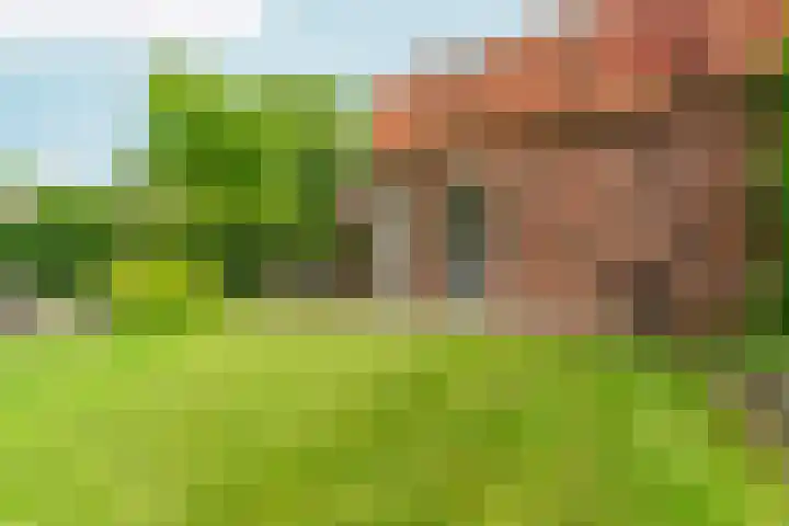 Heyendaalseweg 338 Nijmegen thumbnail 75