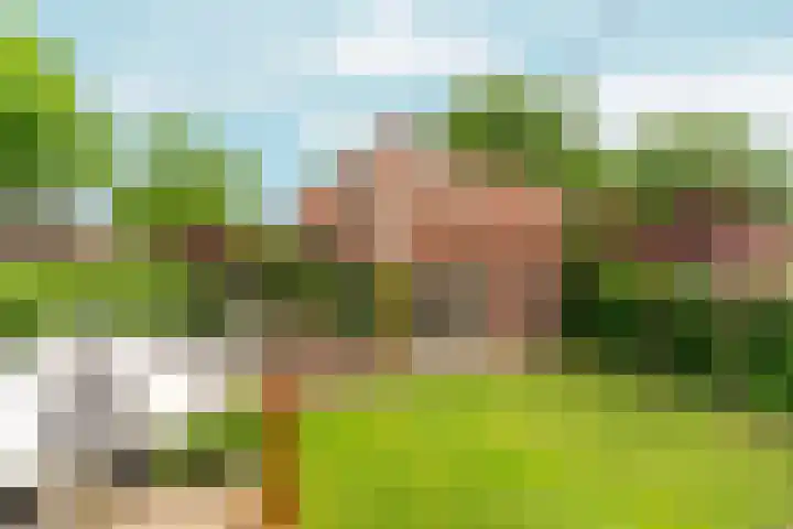 Heyendaalseweg 338 Nijmegen thumbnail 76