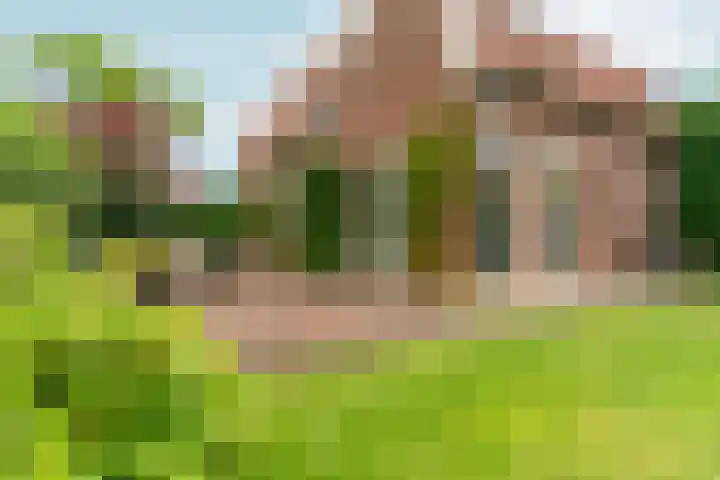 Heyendaalseweg 338 Nijmegen thumbnail 78