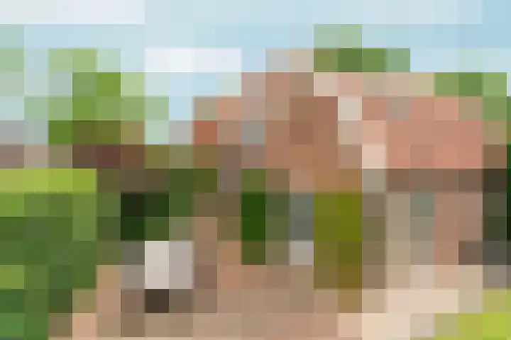 Heyendaalseweg 338 Nijmegen thumbnail 79