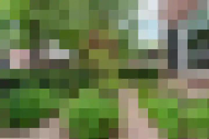 Heyendaalseweg 338 Nijmegen thumbnail 81