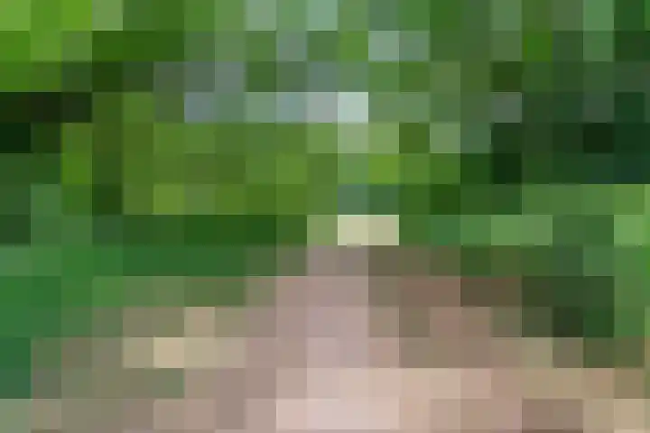 Heyendaalseweg 338 Nijmegen thumbnail 82