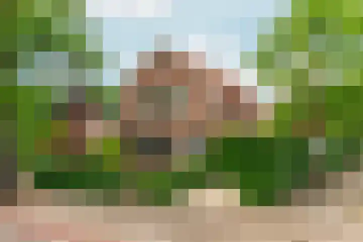 Heyendaalseweg 338 Nijmegen thumbnail 89