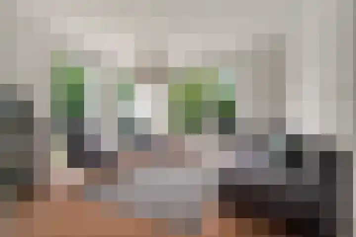 Heyendaalseweg 338 Nijmegen thumbnail 9