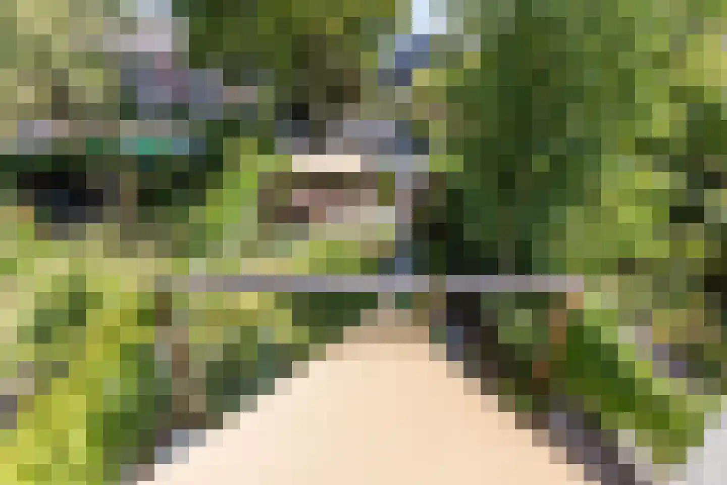 Heyendaalseweg 49 Nijmegen thumbnail 38