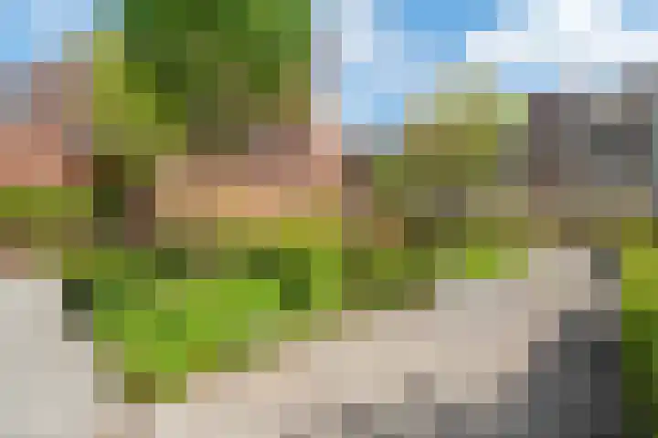 Heyenerf 24 Harskamp