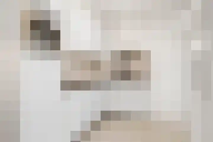 Heyenerf 24 Harskamp thumbnail 28