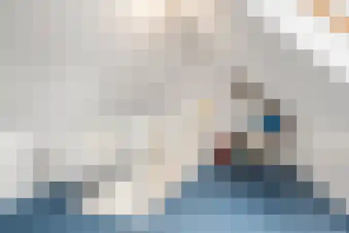 Heyenerf 24 Harskamp thumbnail 40
