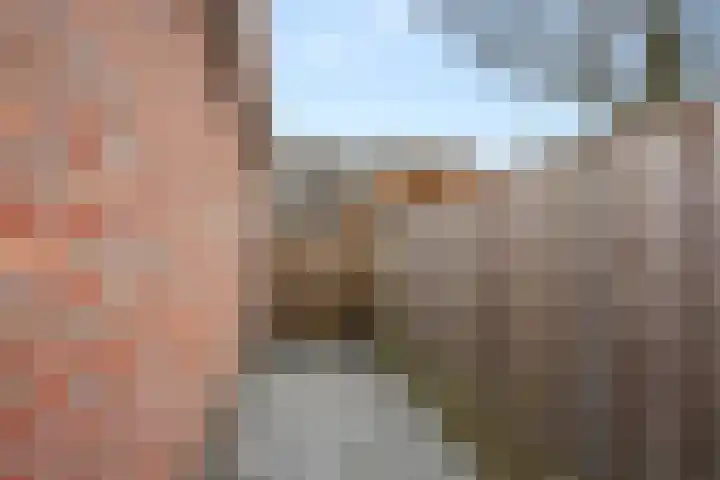 Heyenerf 24 Harskamp thumbnail 47