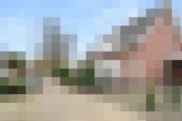 Heyenerf 24 Harskamp thumbnail 50