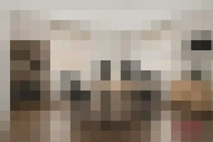 Heyenerf 24 Harskamp thumbnail 9