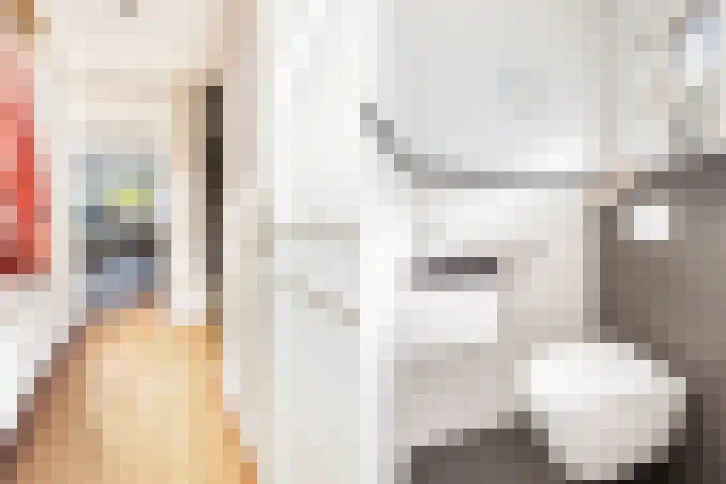 Heyenerf 33 Harskamp thumbnail 11