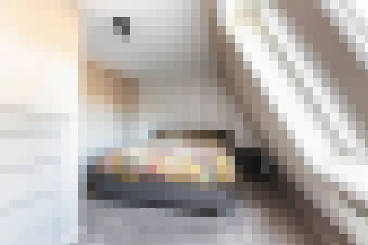 Heyenerf 33 Harskamp thumbnail 15