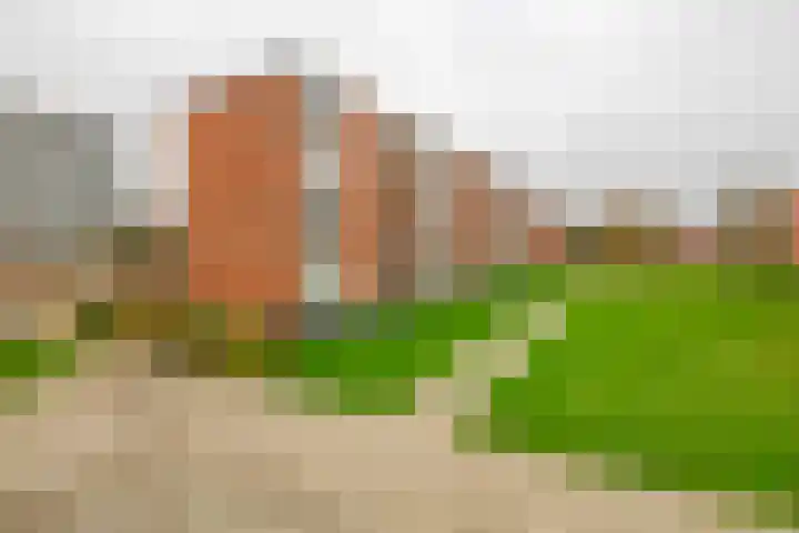 Heyermansstraat 15 B Spijkenisse thumbnail 34