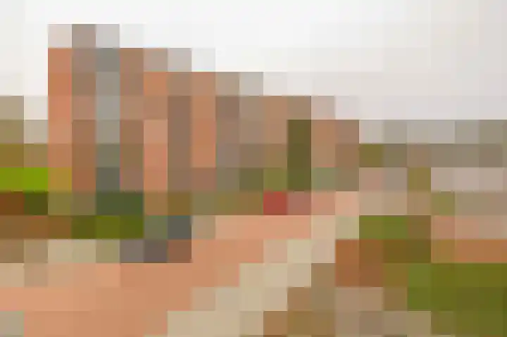 Heyermansstraat 15 B Spijkenisse thumbnail 6