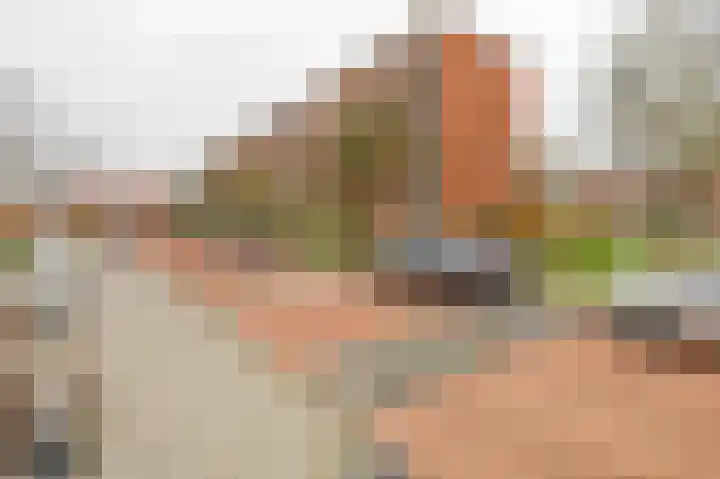 Heyermansstraat 15 B Spijkenisse thumbnail 7