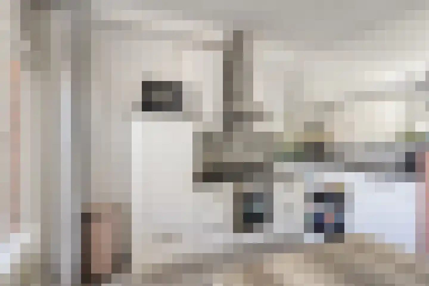 Heyermansstraat 3 B Spijkenisse thumbnail 12