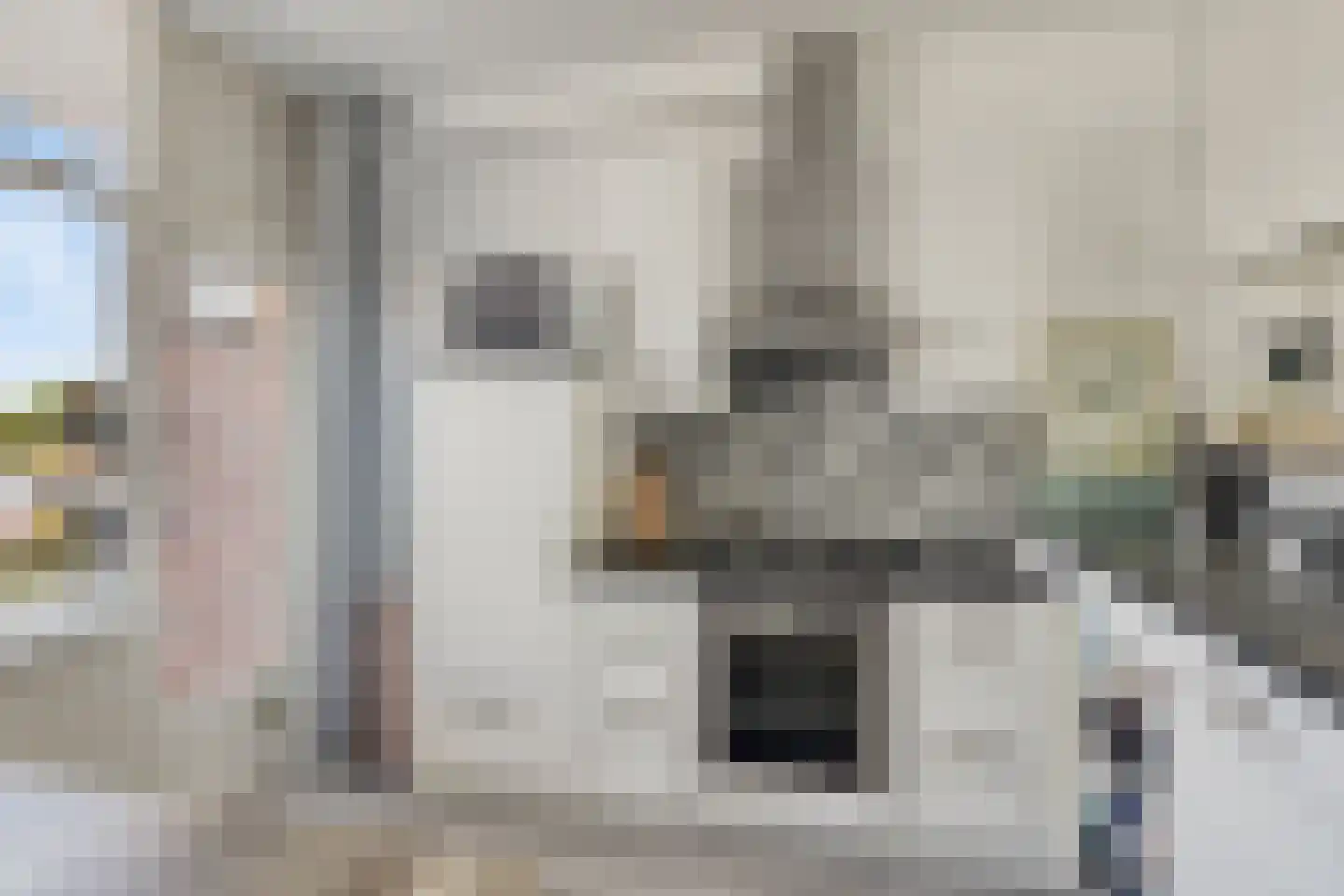 Heyermansstraat 3 B Spijkenisse thumbnail 13