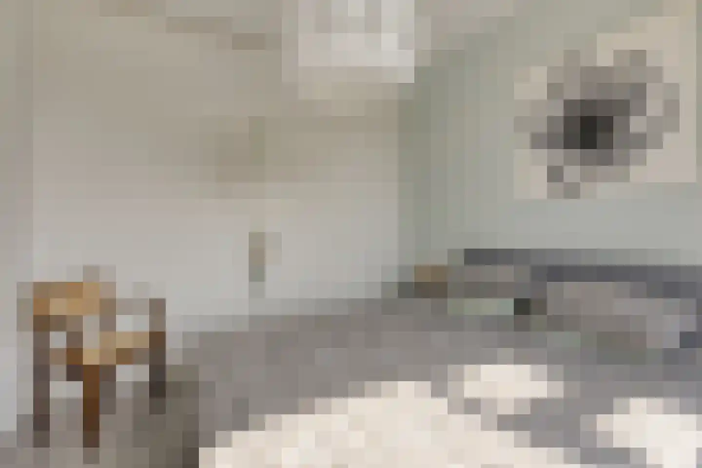 Heyermansstraat 3 B Spijkenisse thumbnail 15