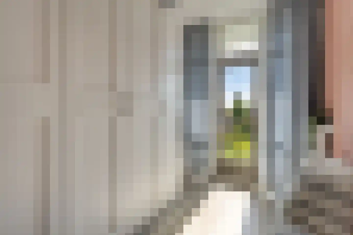 Heyermansstraat 3 B Spijkenisse thumbnail 16
