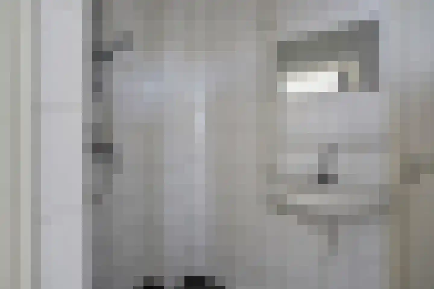 Heyermansstraat 9 C Spijkenisse thumbnail 11