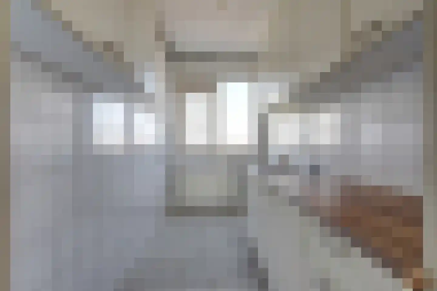 Heyermansstraat 9 C Spijkenisse thumbnail 7