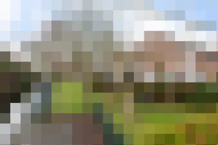 Heyermanswende 19 Hillegom thumbnail 30