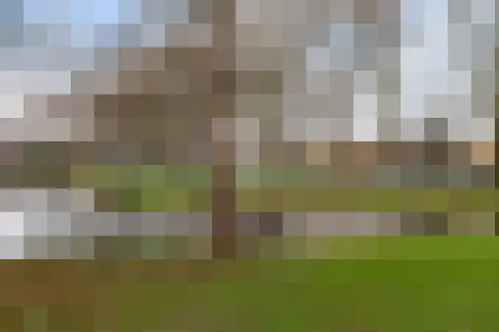 Heyermanswende 19 Hillegom thumbnail 31