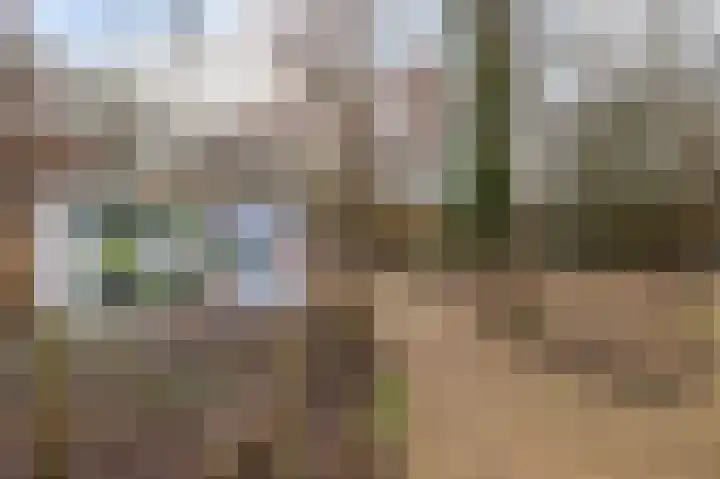 Heyermanswende 19 Hillegom thumbnail 33