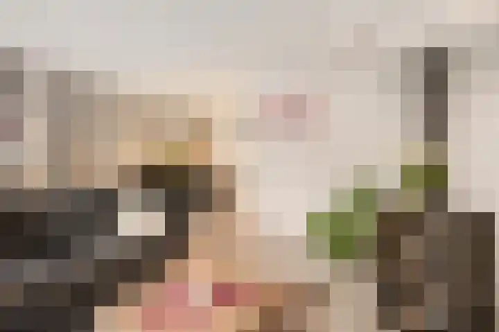 Heyermanswende 19 Hillegom thumbnail 4