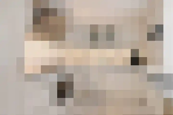 Heyermanswende 19 Hillegom thumbnail 7