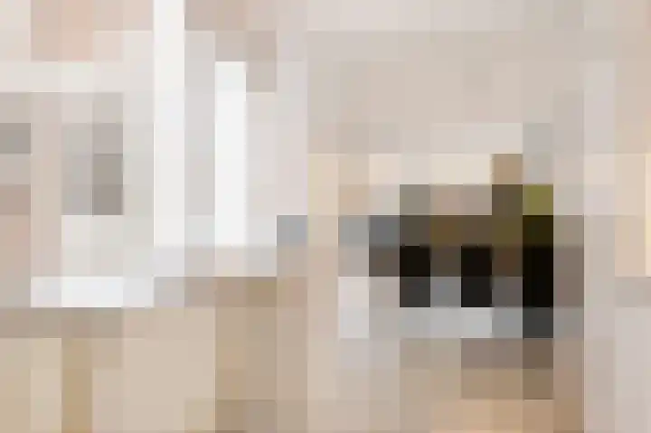 Heyermanswende 19 Hillegom thumbnail 8