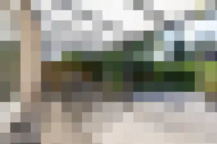 Heymanshof 17 Haren Gn thumbnail 25