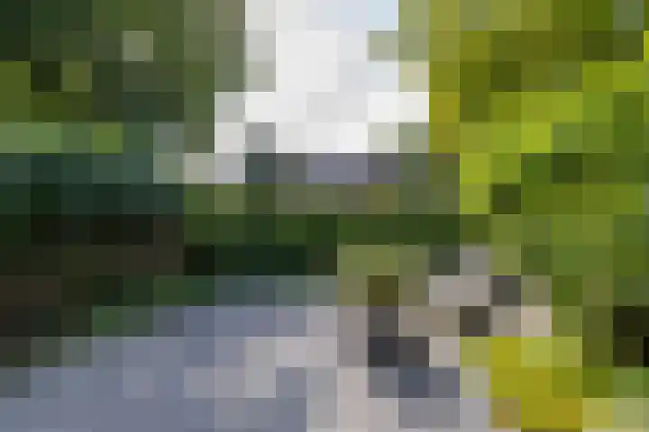 Heymanshof 17 Haren Gn thumbnail 26